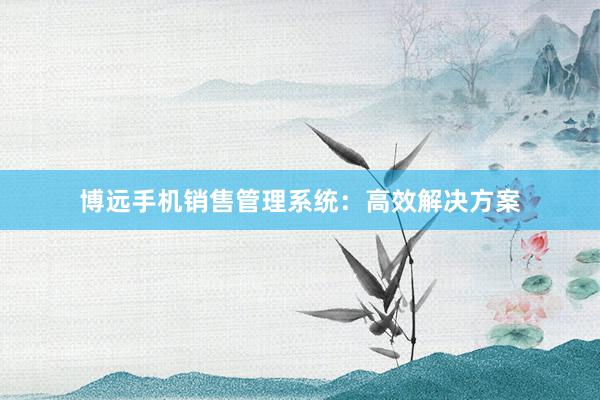 博远手机销售管理系统：高效解决方案